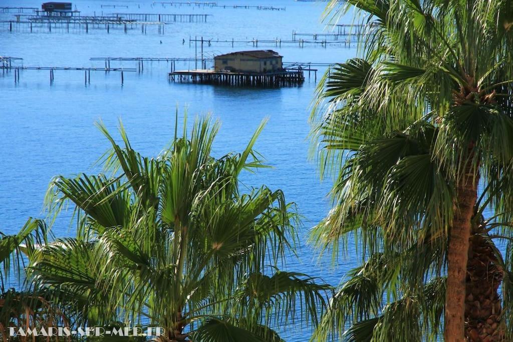 Port Tamaris, Le Troisieme Apartment ลาแซน-ซูร์-แมร์ ภายนอก รูปภาพ